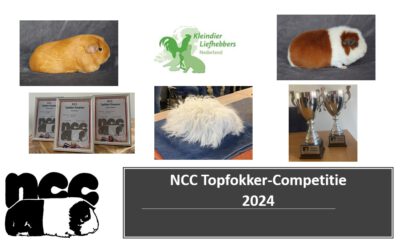 Topfokker-competitie 2024