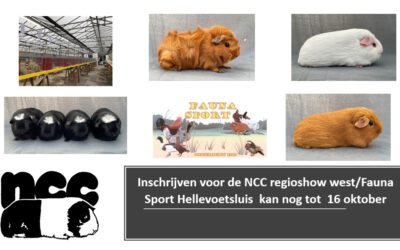 Inschrijving NCC regiotentoonstelling (regio west) bij Fauna Sport Hellevoetsluis van 26 oktober is geopend