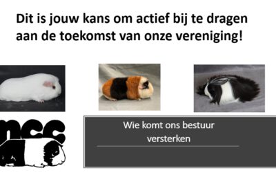 Wie komt ons bestuur versterken?