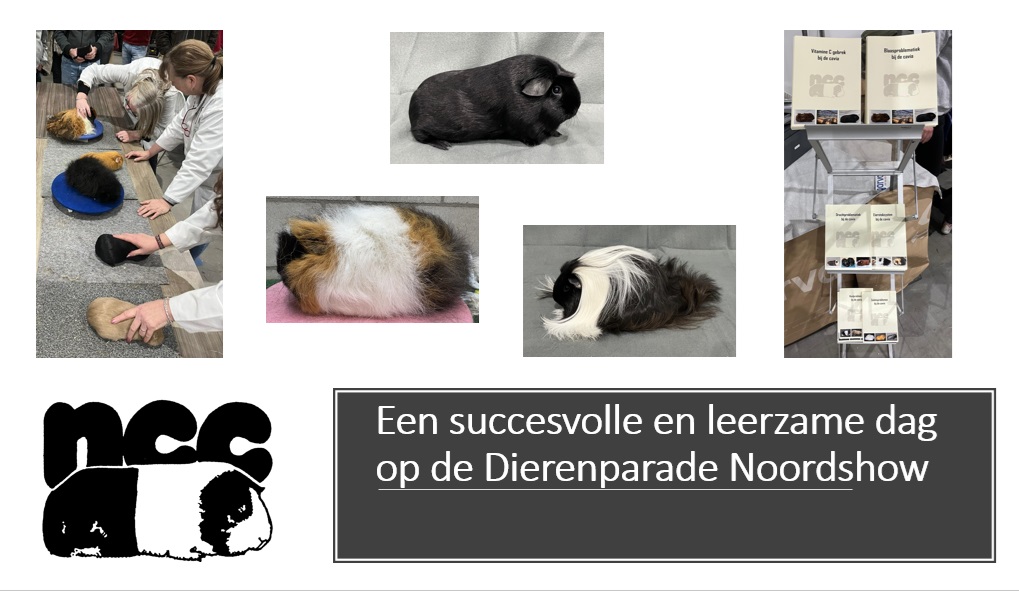 Dierenparade Noordshow 2025